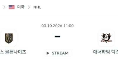 [아이스하키 NHL] 10월03일 베가스 골든나이츠 vs 애너하임 덕스 분석 중계