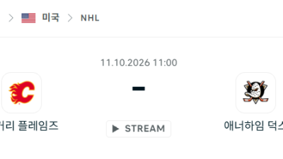 [아이스하키 NHL] 10월11일 캘거리 플레임스 vs 애너하임 덕스 분석 중계