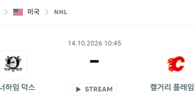 [아이스하키 NHL] 10월14일 애너하임 덕스 vs 캘거리 플레임스 분석 중계