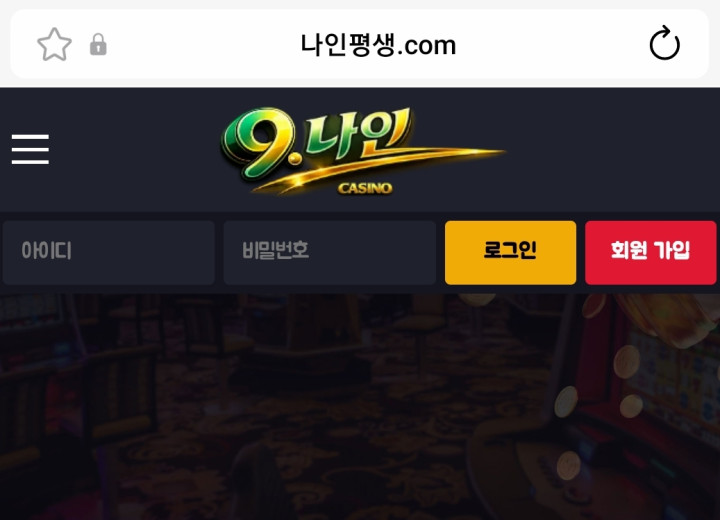 나인카지노
