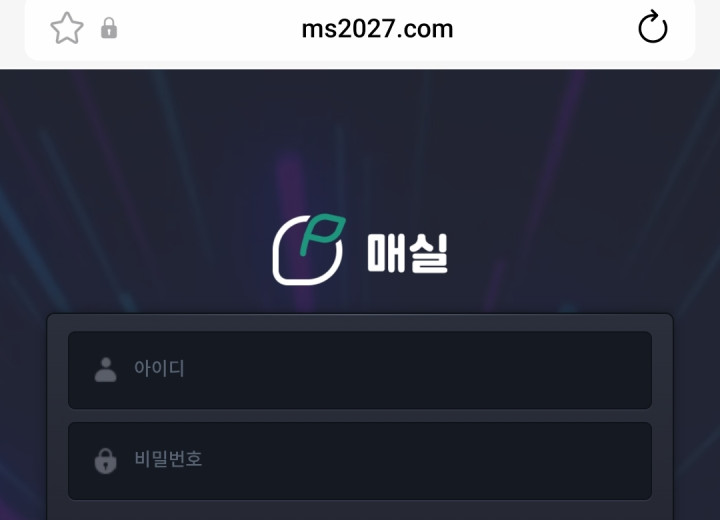 매실