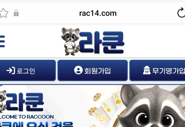 라쿤