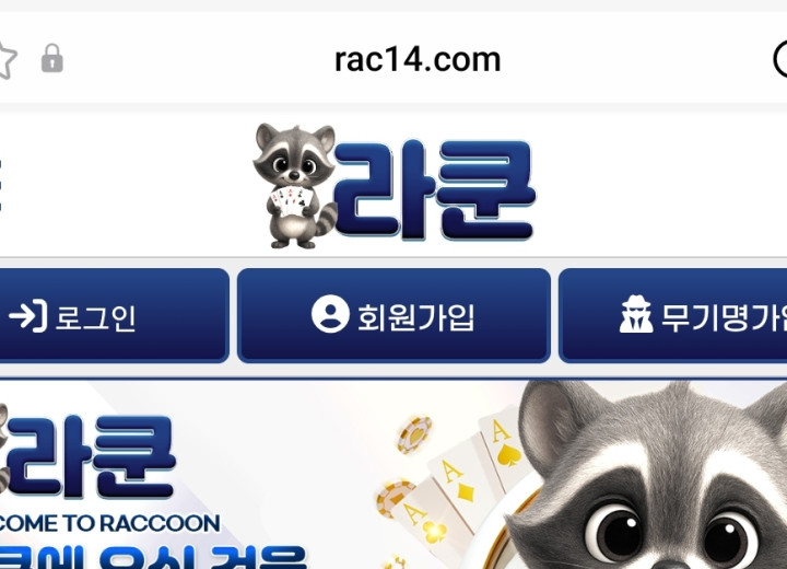 라쿤