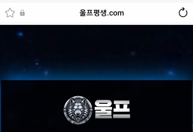 울프