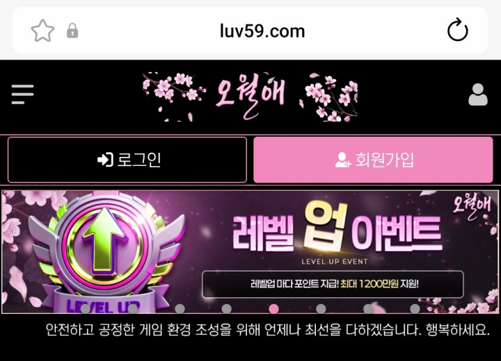 오월애