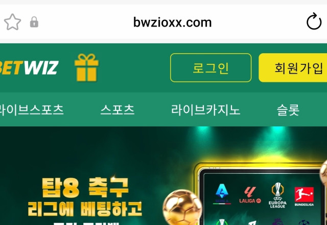벳위즈