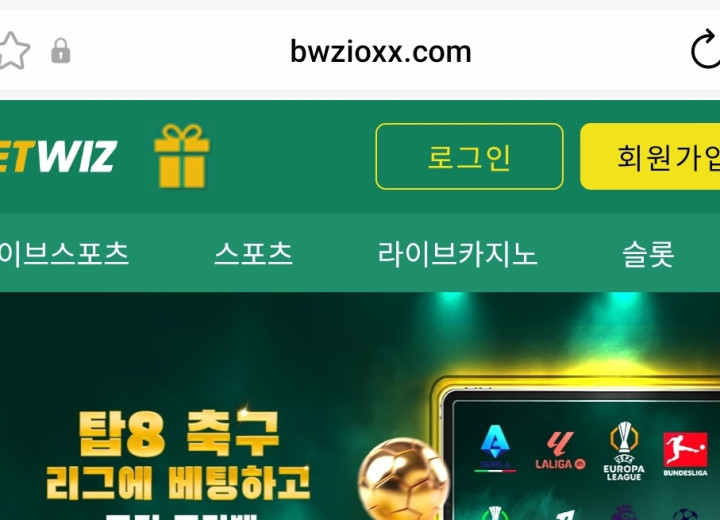 벳위즈