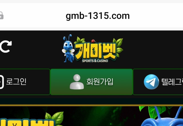 개미벳