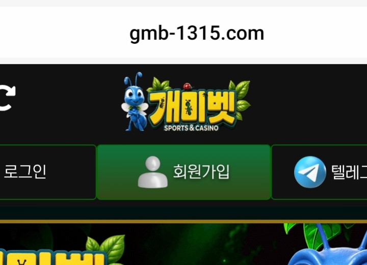 개미벳