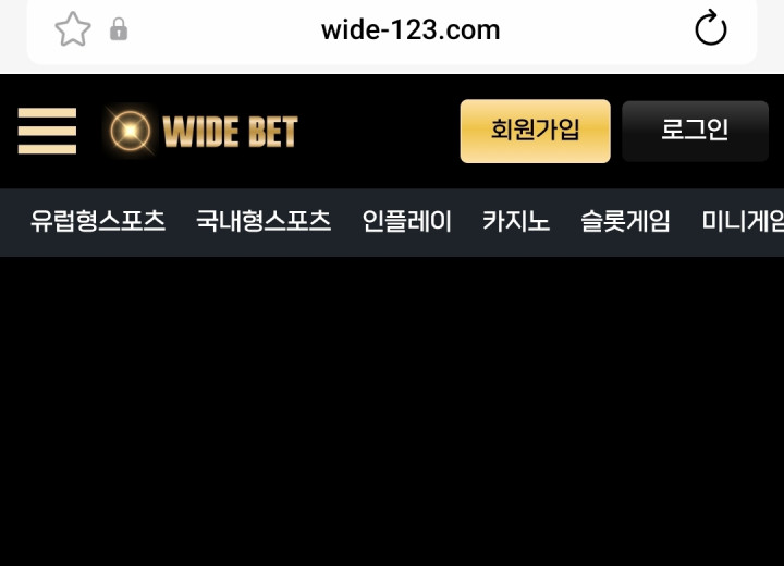 와이드벳