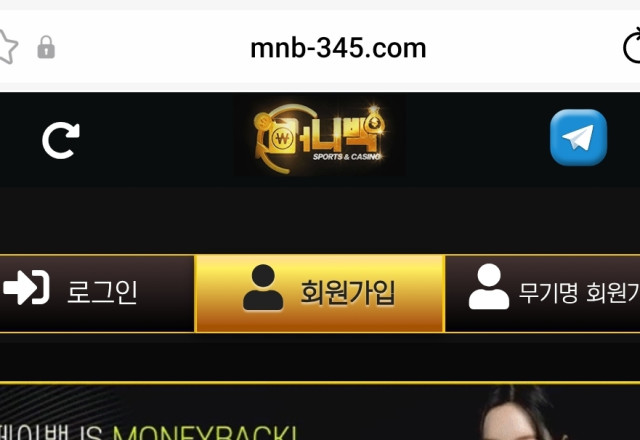 머니백