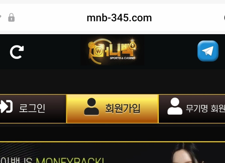 머니백
