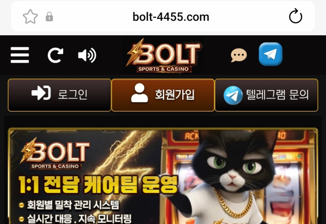 볼트카지노
