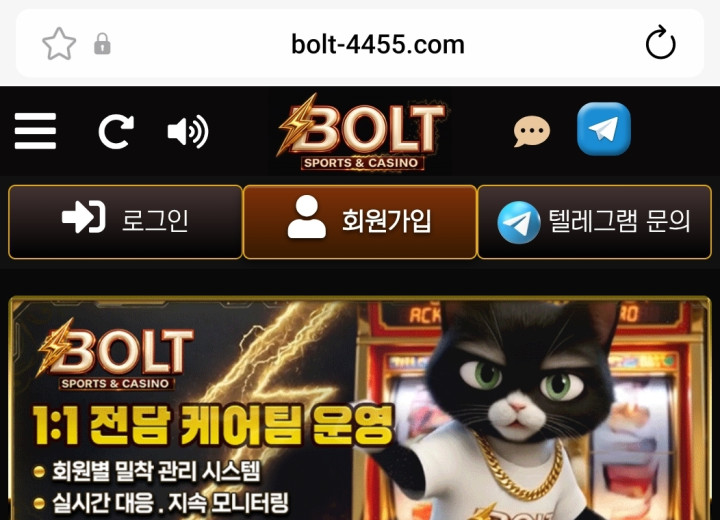볼트카지노