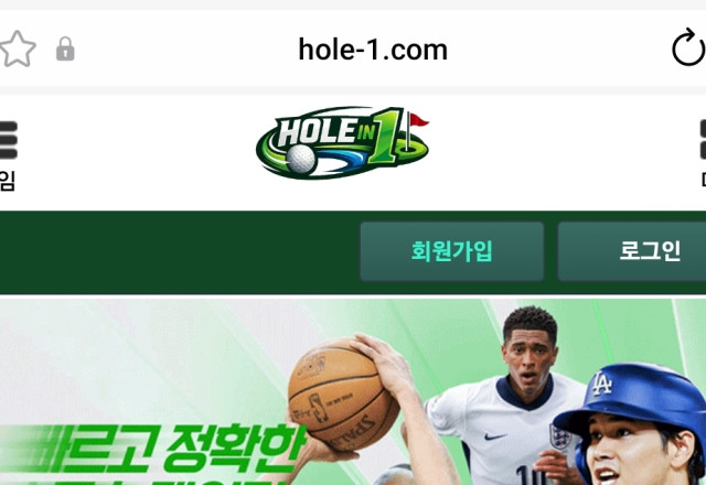 홀인원