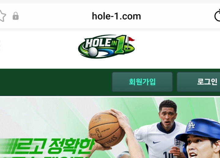 홀인원