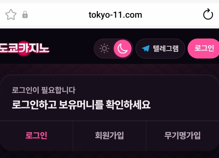 도쿄카지노