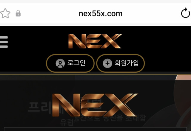 넥스 (NEX)