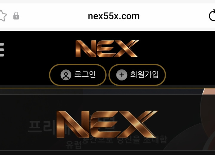 넥스 (NEX)