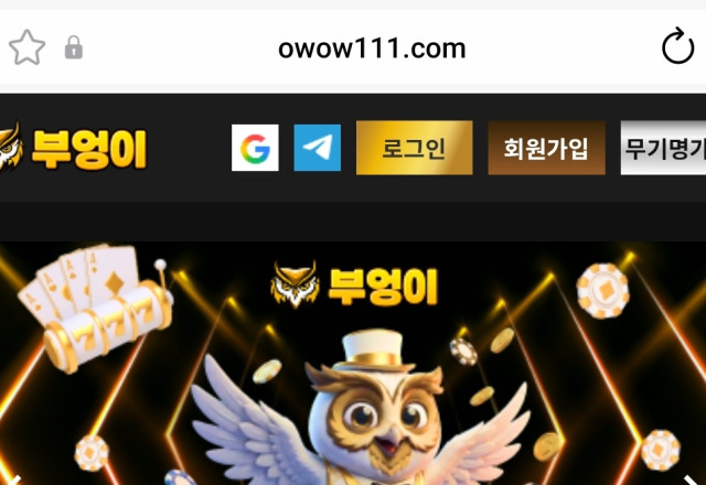 부엉이