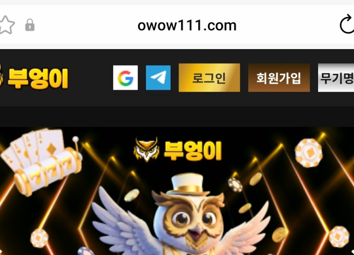 부엉이