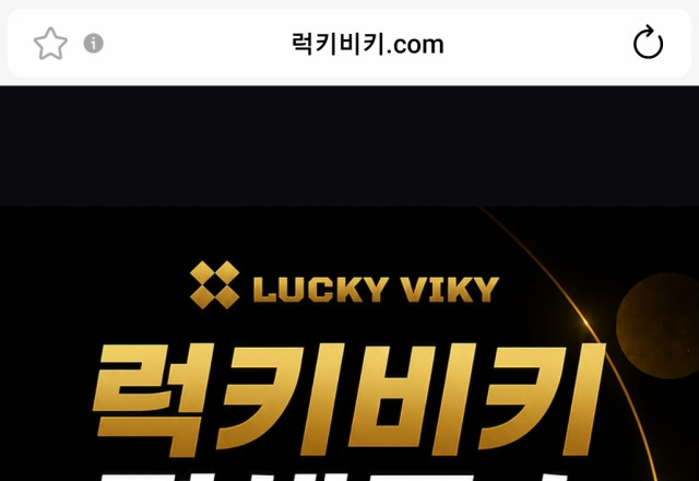 럭키비키