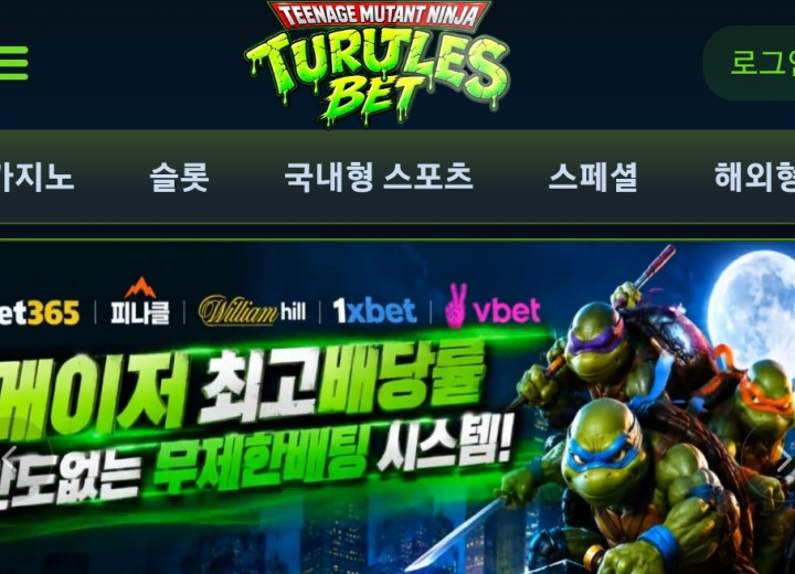 터틀벳